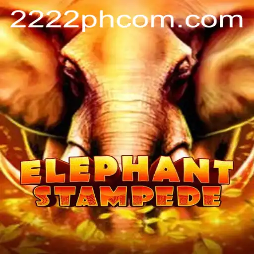 Unveiling the Adventure: ElephantStampede and the Strategy Behind 2222PH